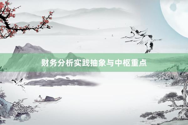 财务分析实践抽象与中枢重点